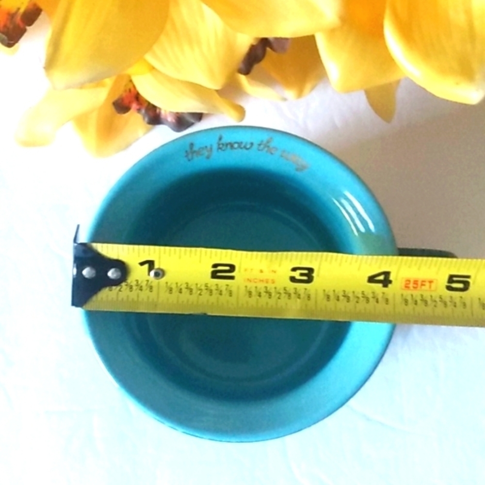 BOSTON WAREHOUSE FOLLOW YOUR DREAMS INSPIRATIONAL COFFEE MUG SIZE 16oz NWT - Picture 9 of 9